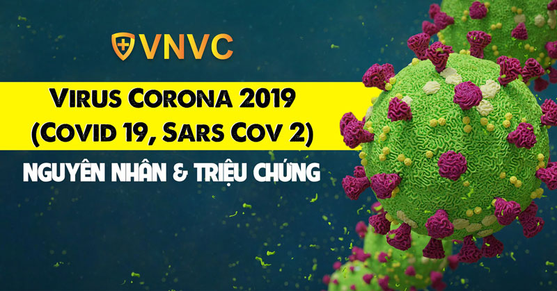 VIRUS CORONA 2019 (COVID 19, SARS COV 2): NGUYÊN NHÂN & TRIỆU CHỨNG